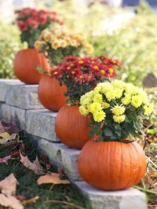 Come preparare la casa e il giardino all’autunno