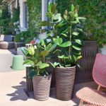 arredare il terrazzo e il giardino d’estate